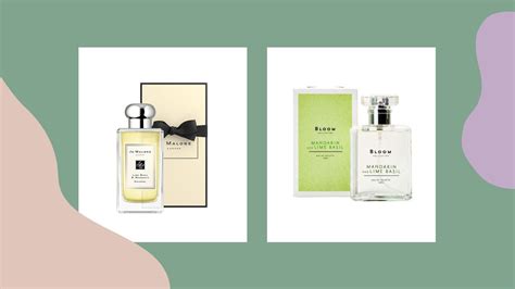 perfume dupes superdrug|superdrug jo malone dupe.